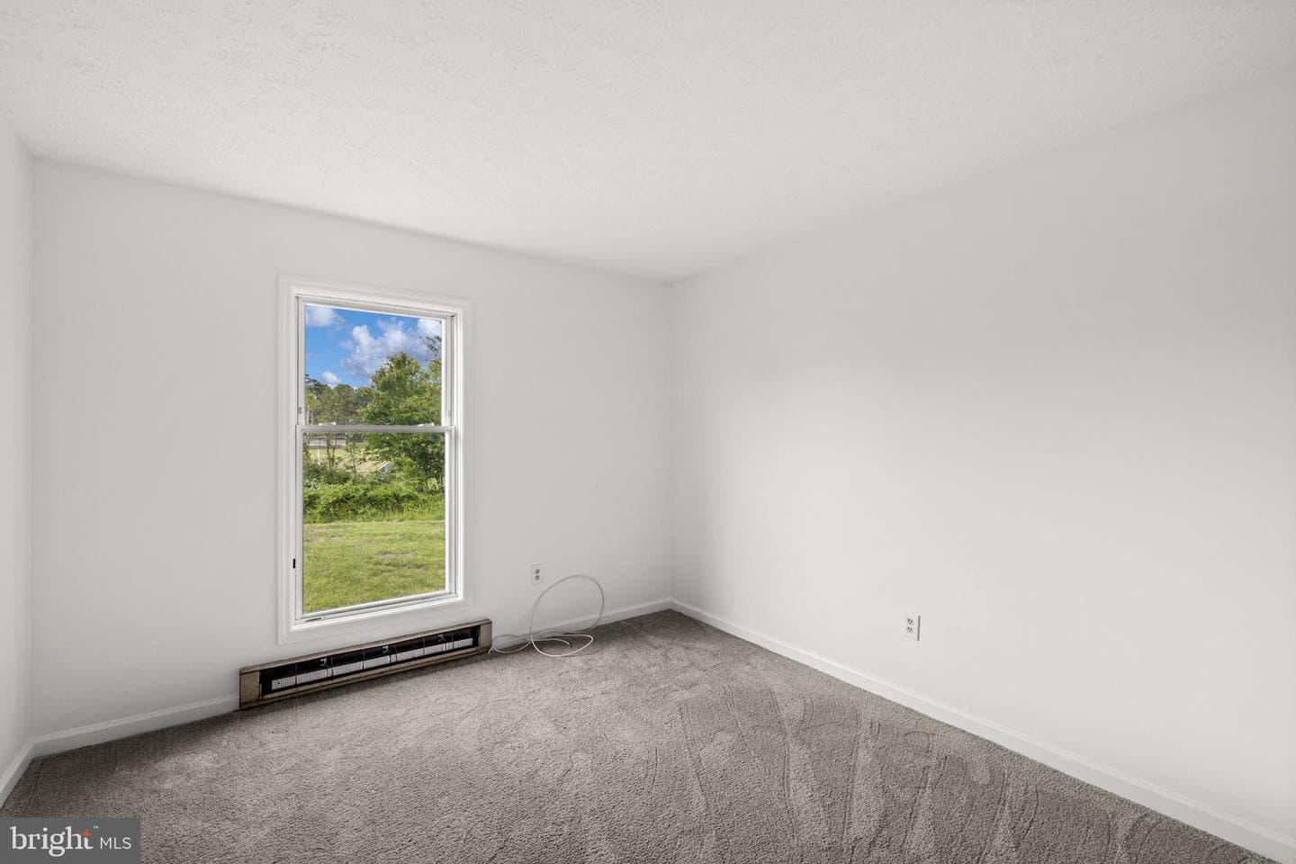 9 Payne Lane photo 24