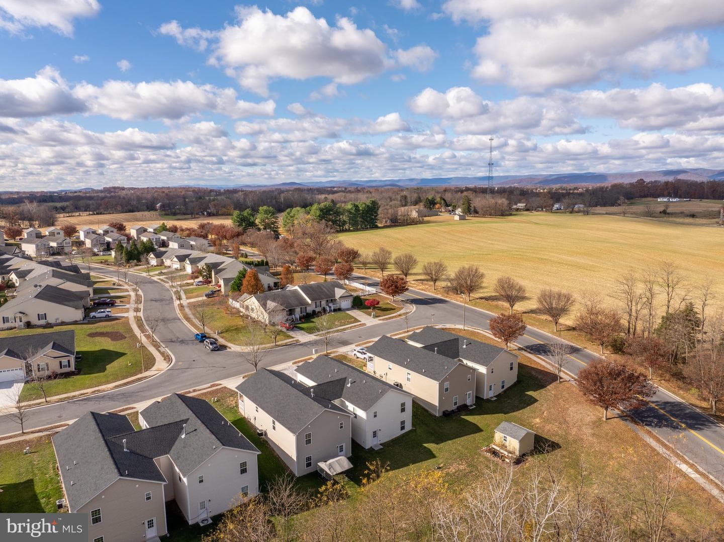 558 Great Oak Court photo 34