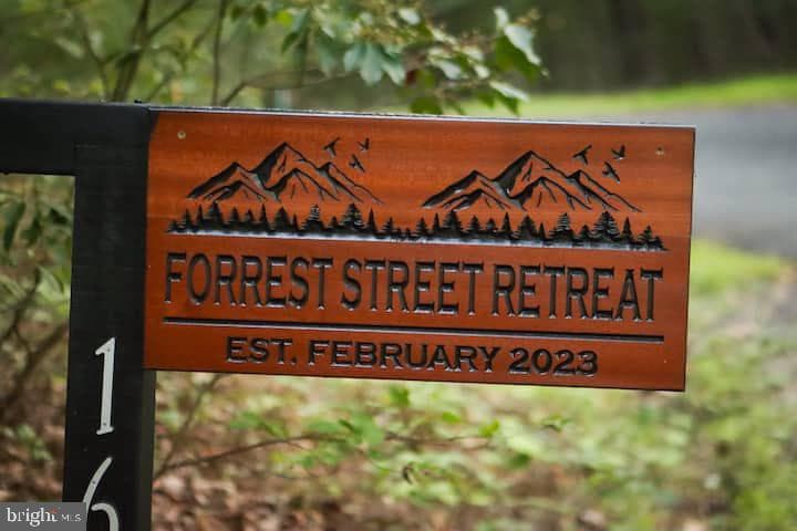 162 Forrest Street photo 40