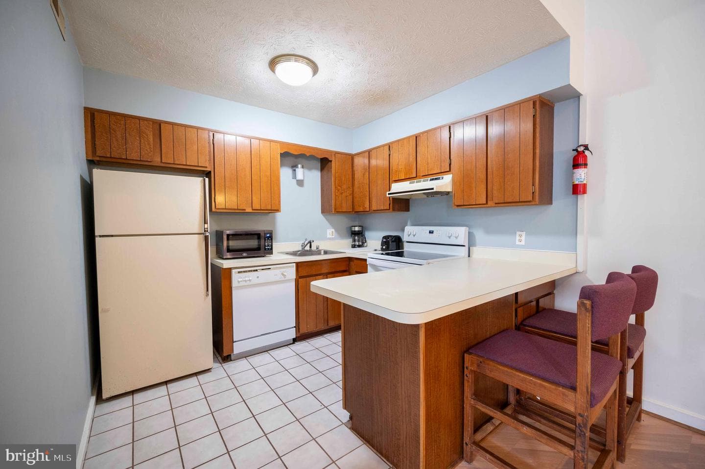 377 Spitz #100 A&b photo 47
