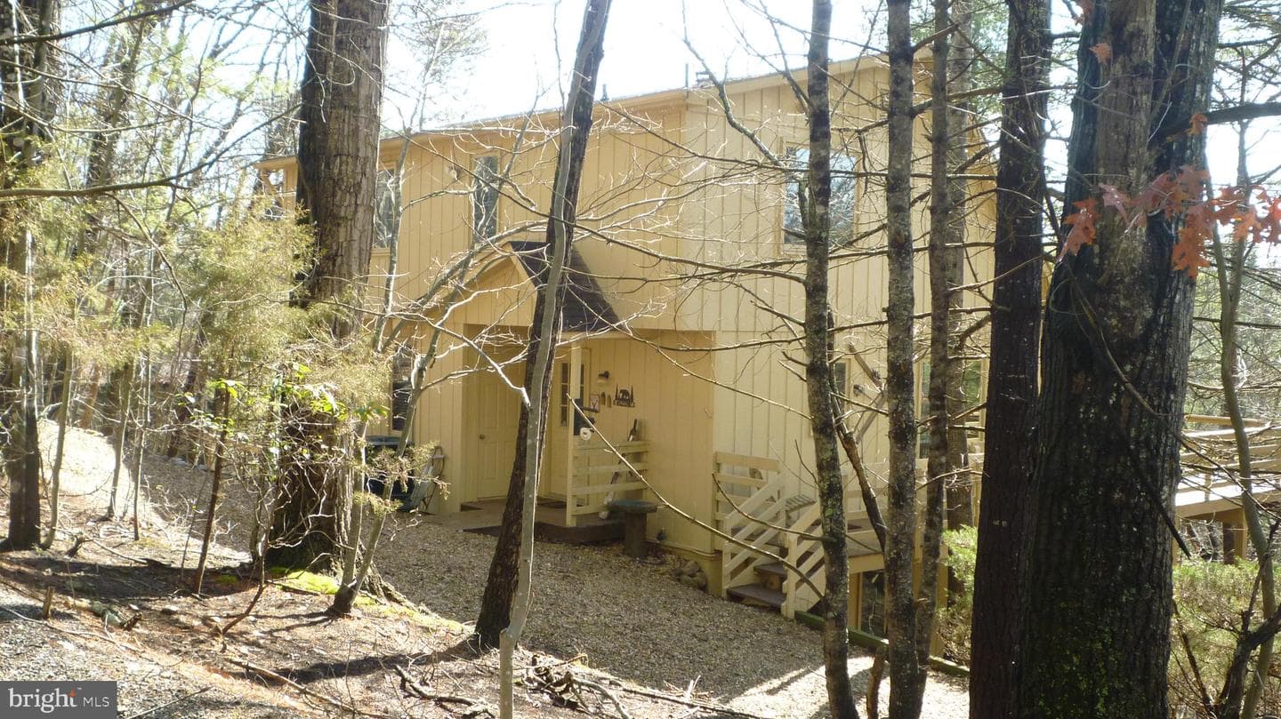 51 Forrest Street photo 4