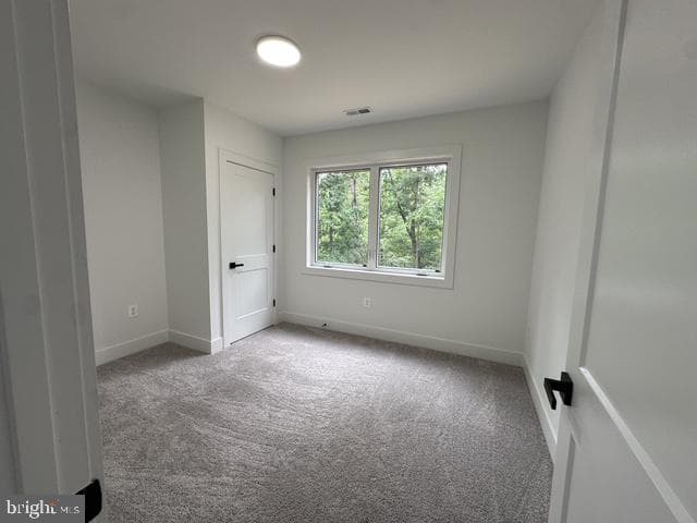 64 Elm Court photo 29