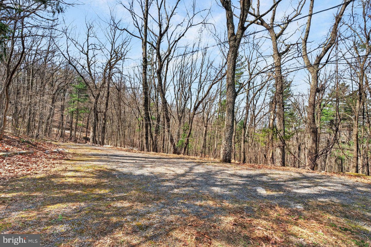 137 Sandstone Lane photo 29
