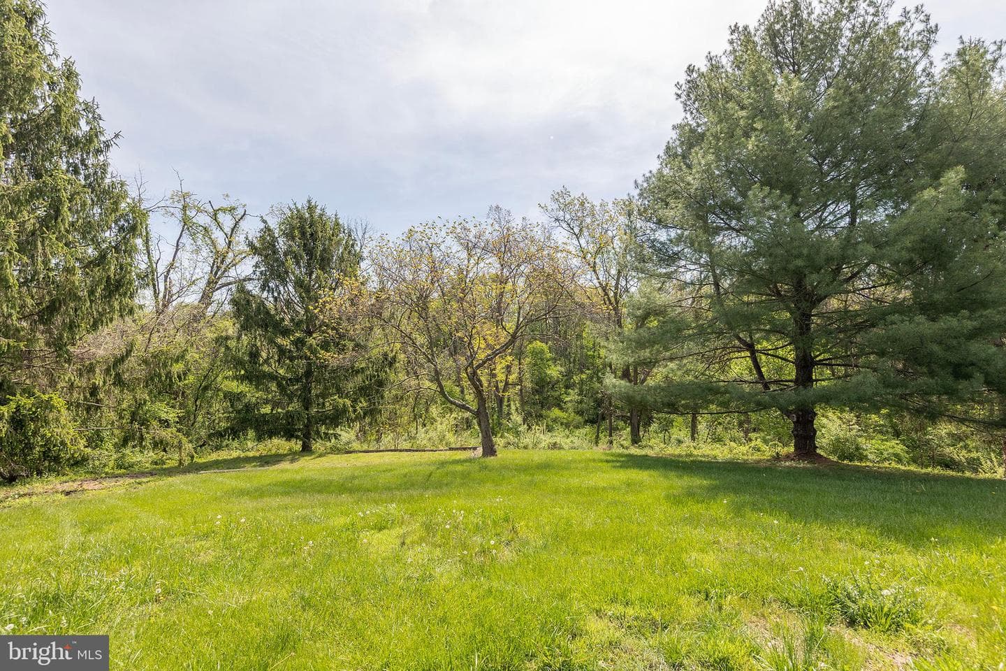405 Spring Hollow Road photo 87
