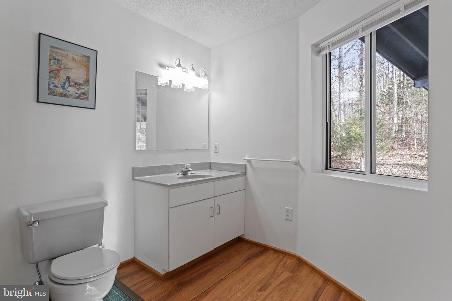 308 Brush Leaf Lane photo 4