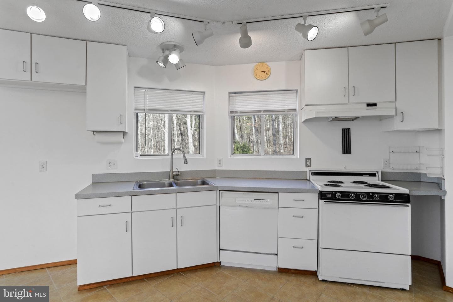 308 Brush Leaf Lane photo 9