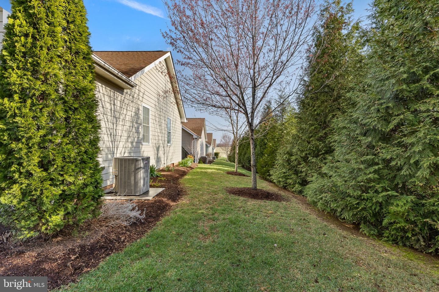 1029 Sun Poppy Court photo 28