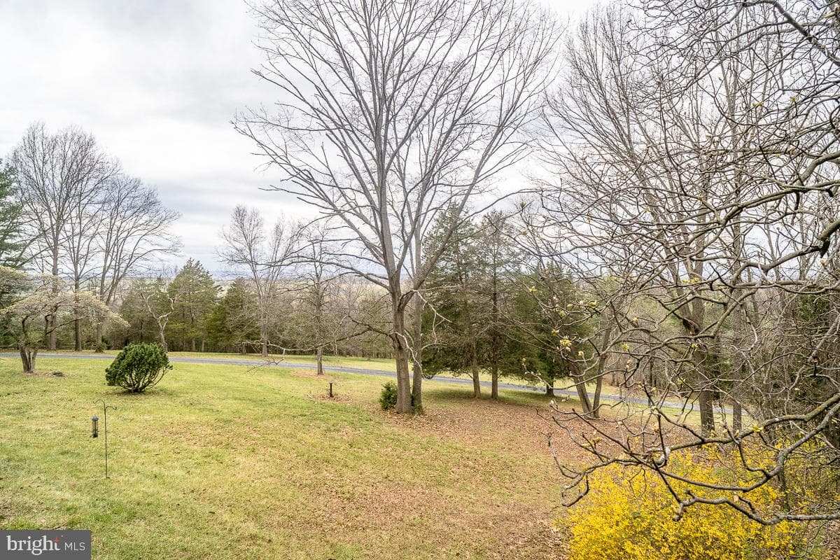 188 New Market Reservoir Road photo 63