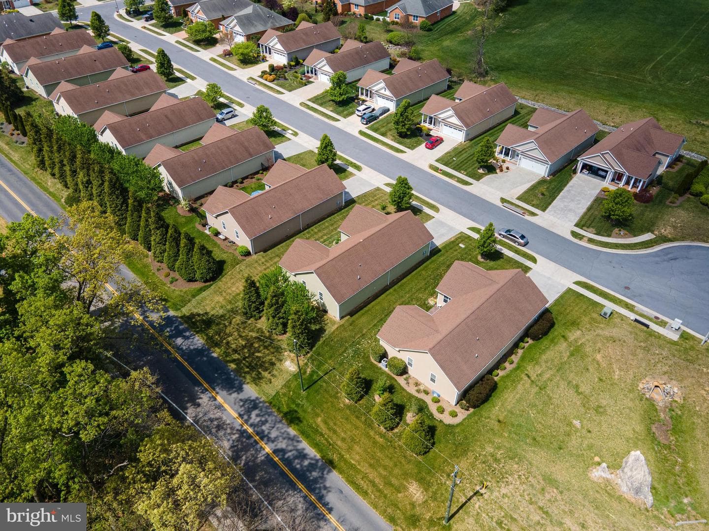 1017 Sun Poppy Court photo 41