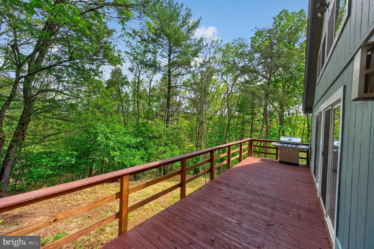 393 Palmer photo 10