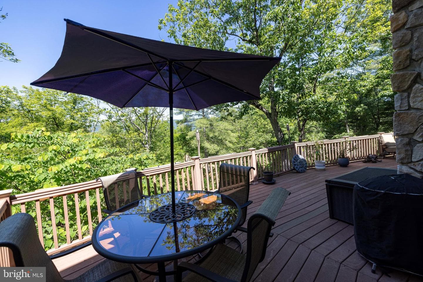 167 Williams Lane photo 35