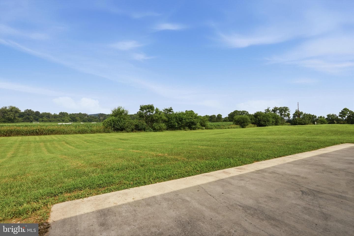 110 Summers Lane photo 40