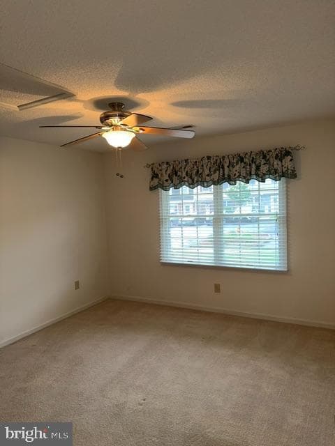 212 Pelham Drive photo 13