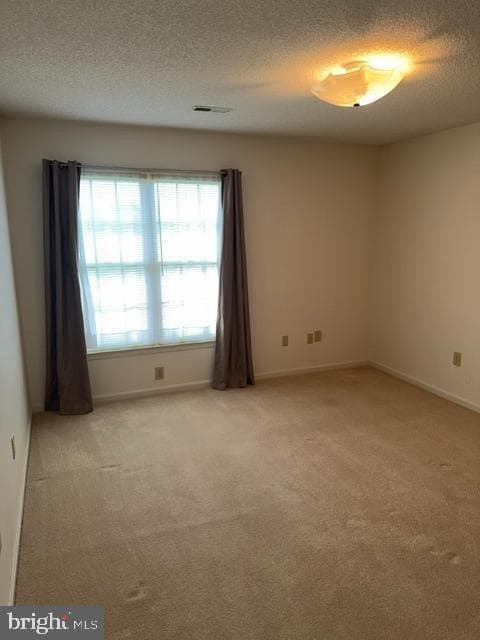 212 Pelham Drive photo 18
