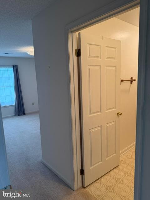 212 Pelham Drive photo 20