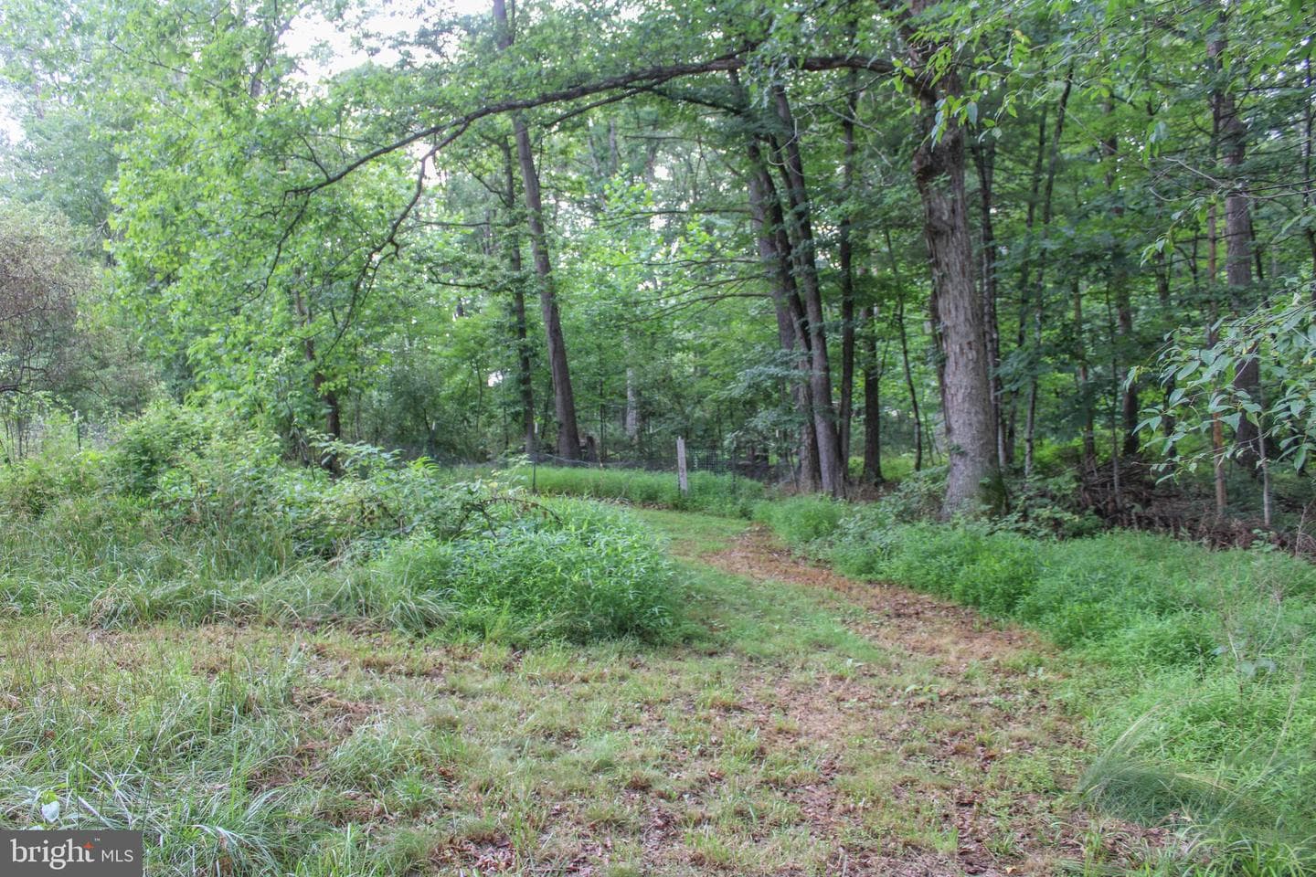 4547 Alum Springs Road photo 48
