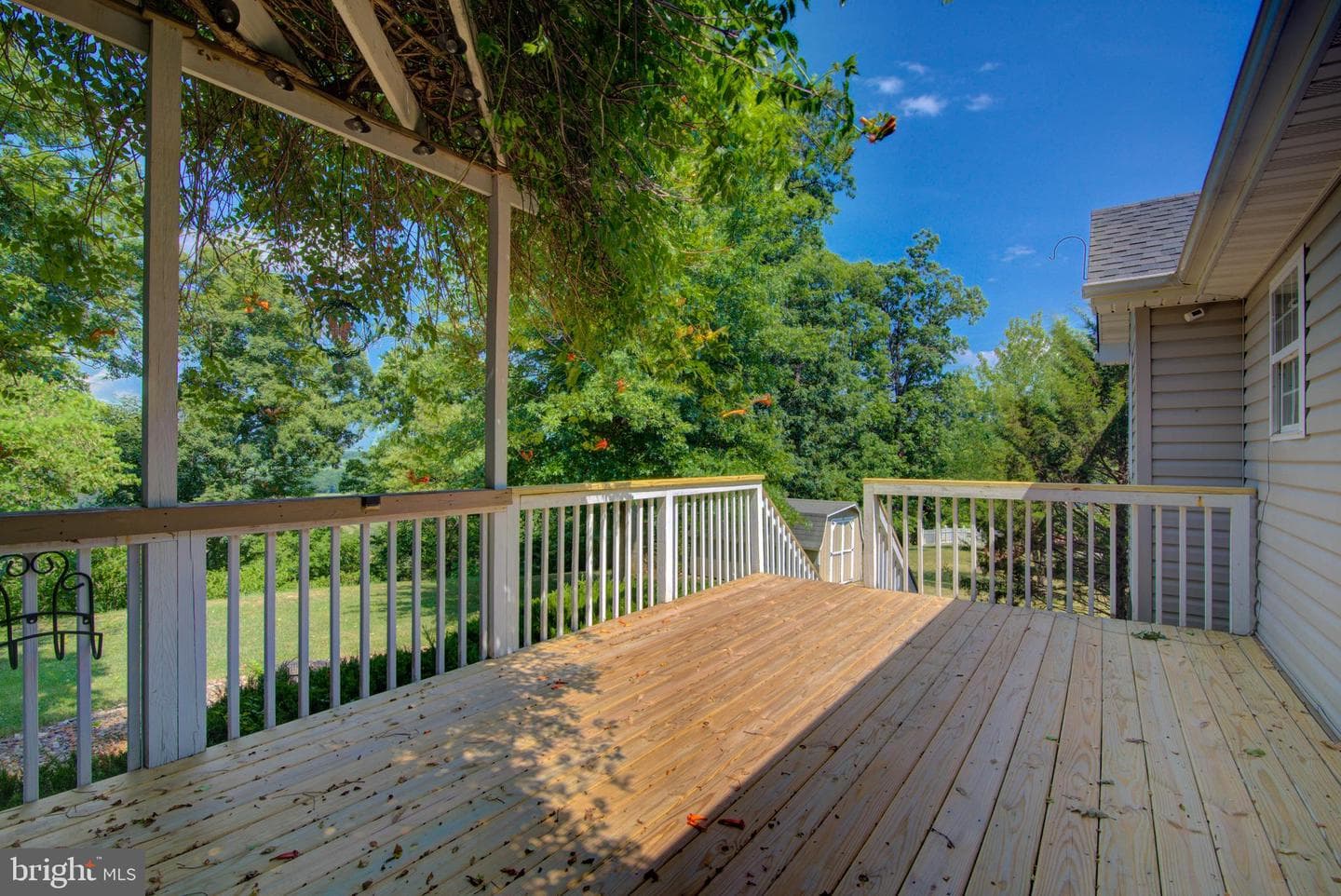 47 Stuart Court photo 12