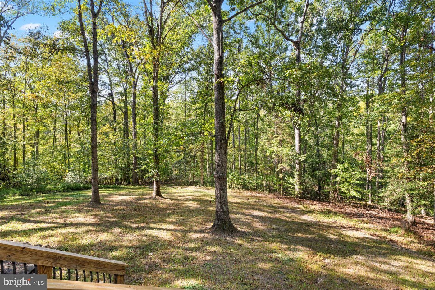 12905 Spotswood Furnace Road photo 71