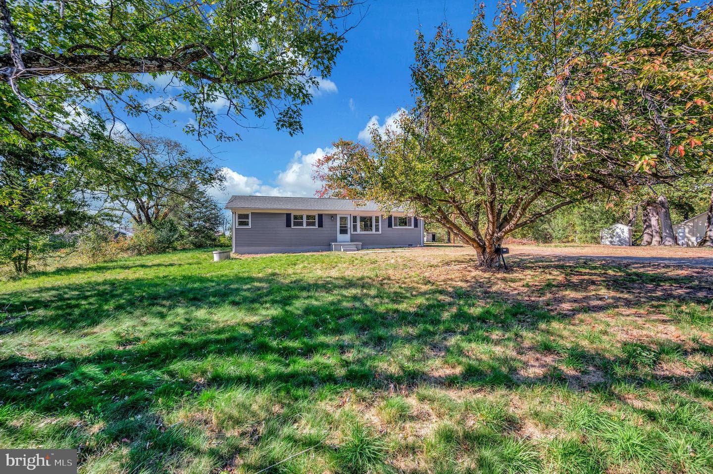12008 Andora Drive photo 4