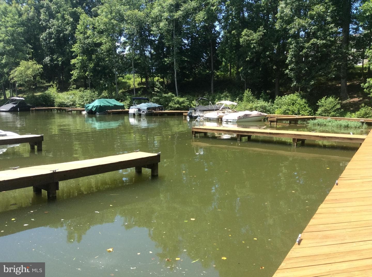 5501 Hickory Tree Lane photo 82