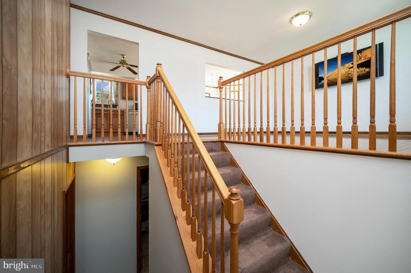 713 Shamrock Drive photo 16