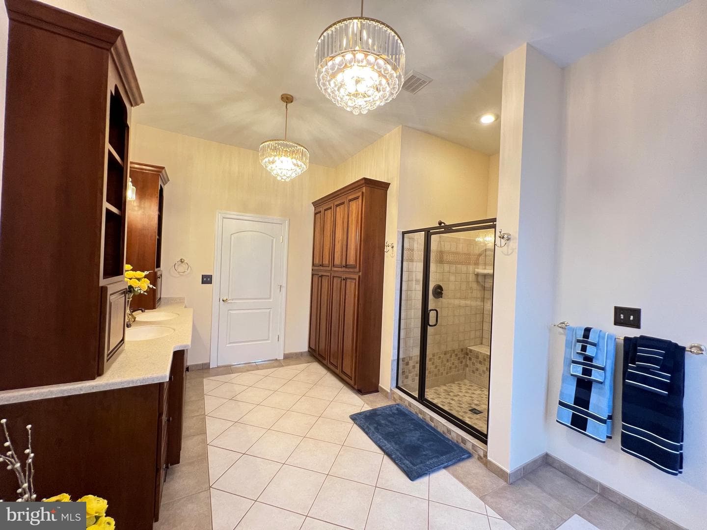 11207 Valor Bridge Drive photo 38