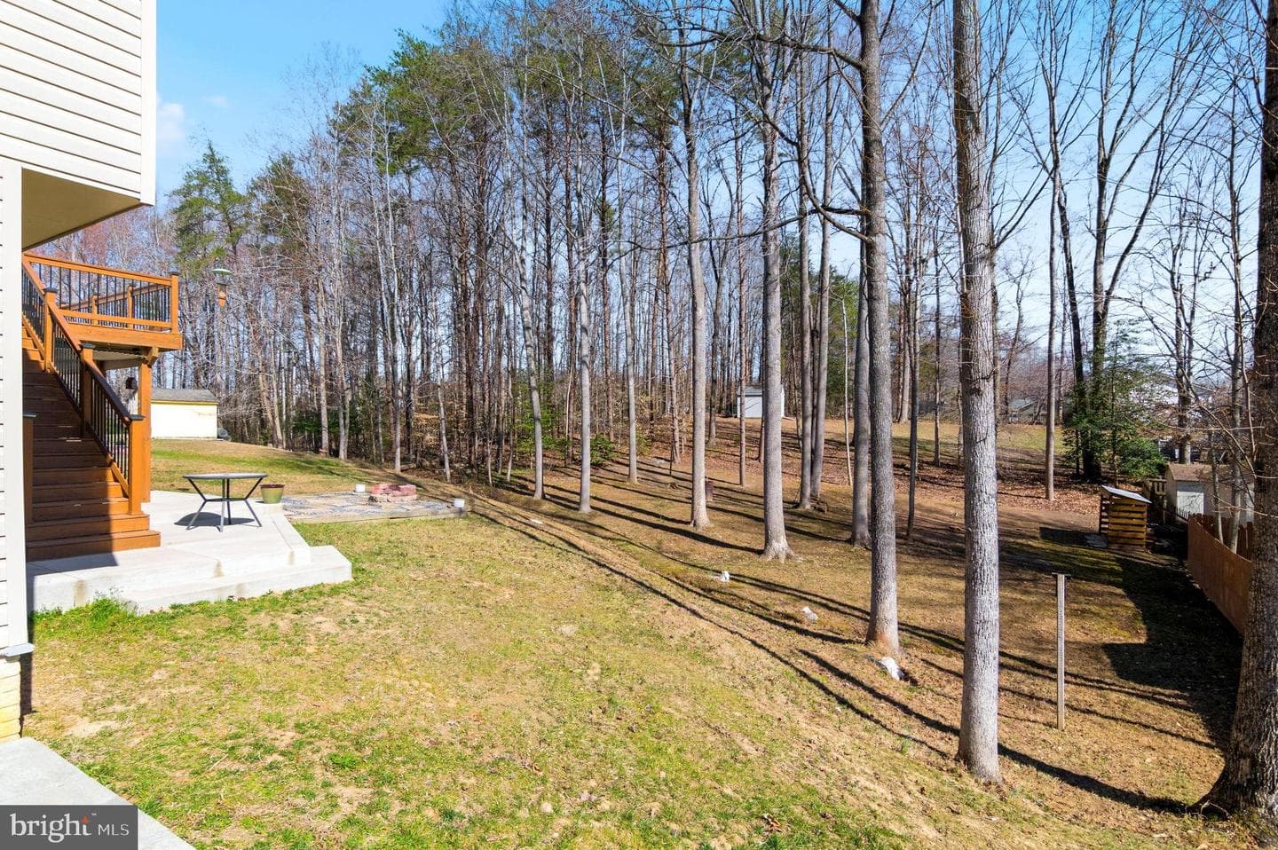 11205 Surry Woods photo 41