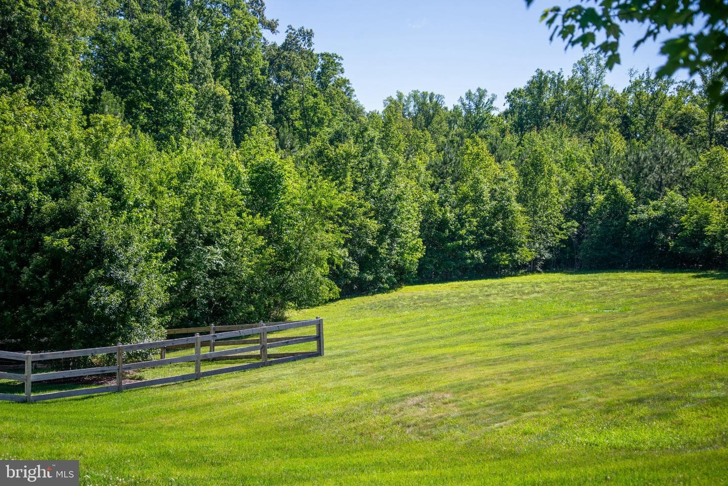 10916 Olive View Drive photo 4