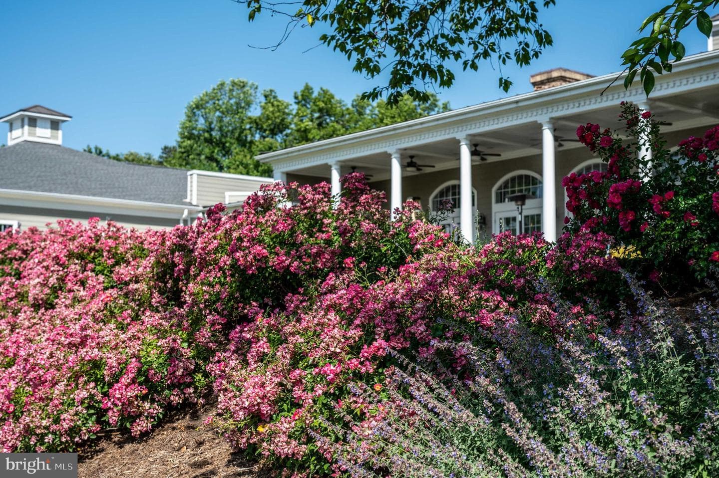 11004 Sheridan Drive photo 122