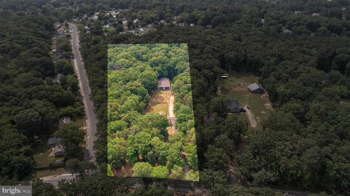 11428 Orange Plank Road photo 61