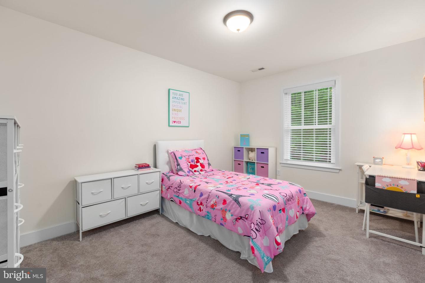 12505 Flock Court photo 29