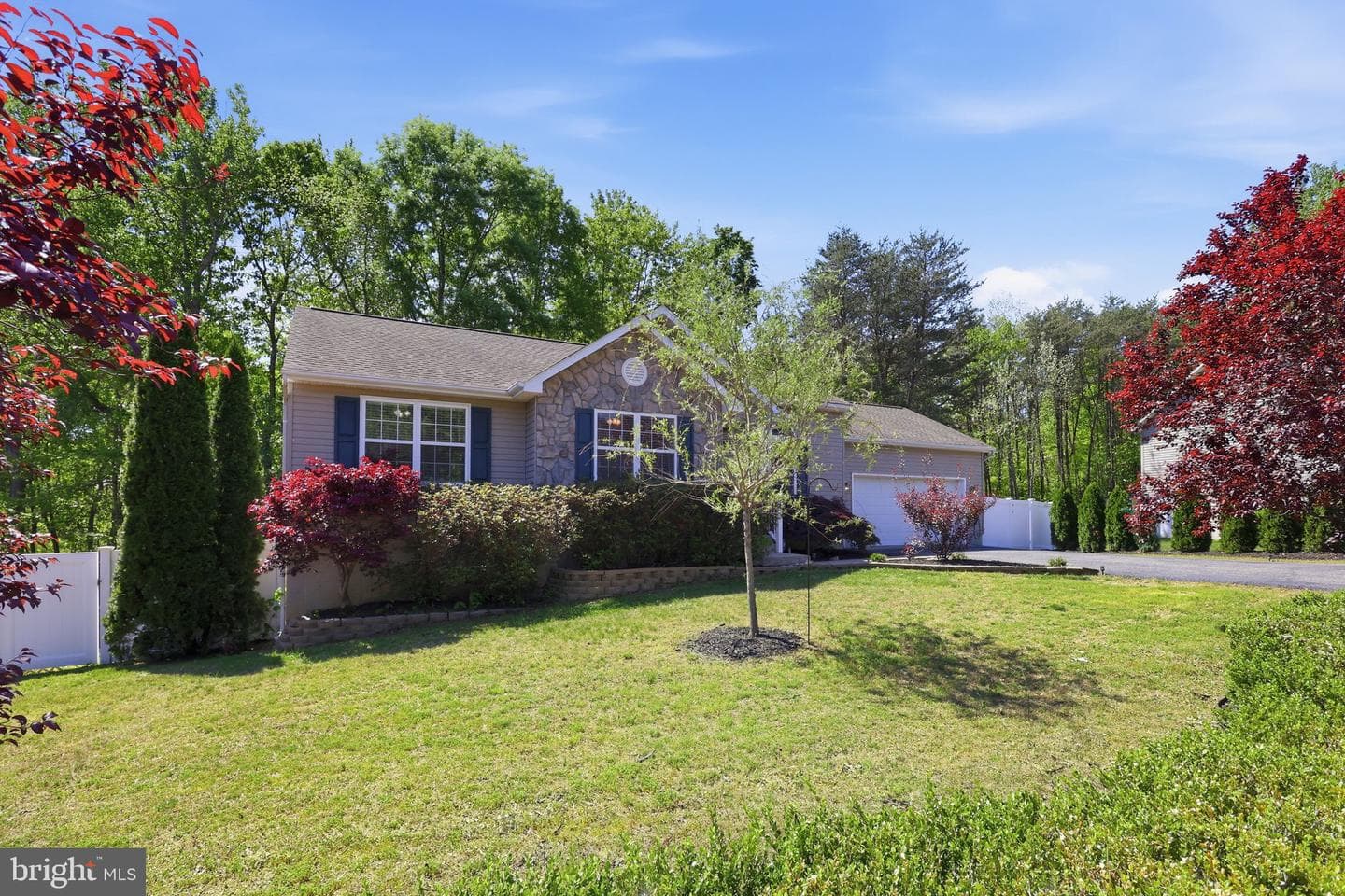 8507 Oak Glen Court photo 6
