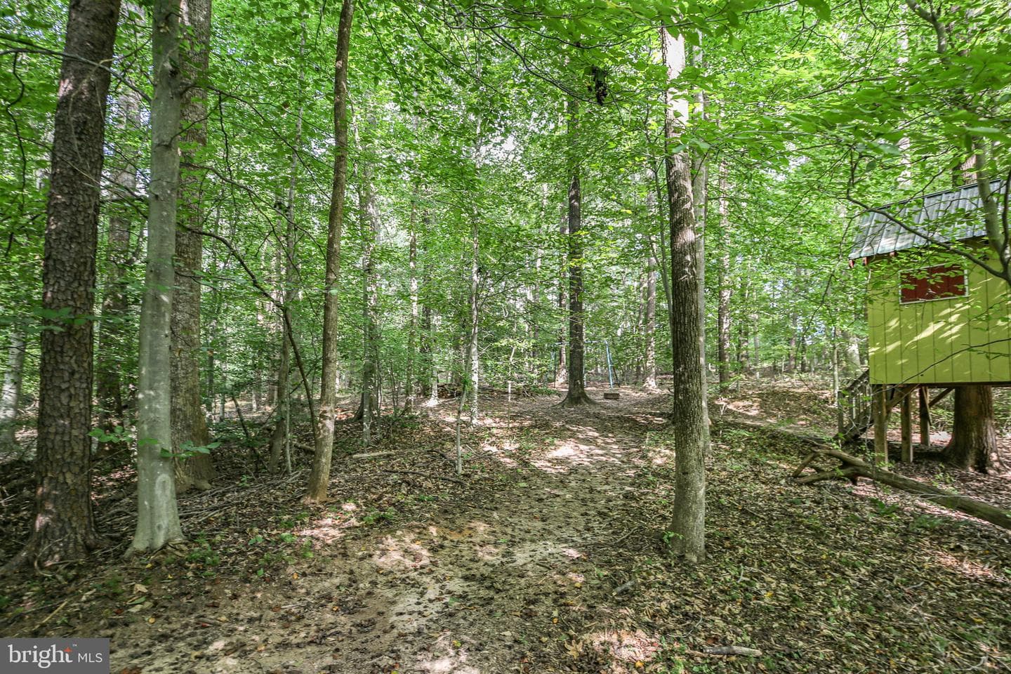 10108 Willow Ridge Lane photo 14