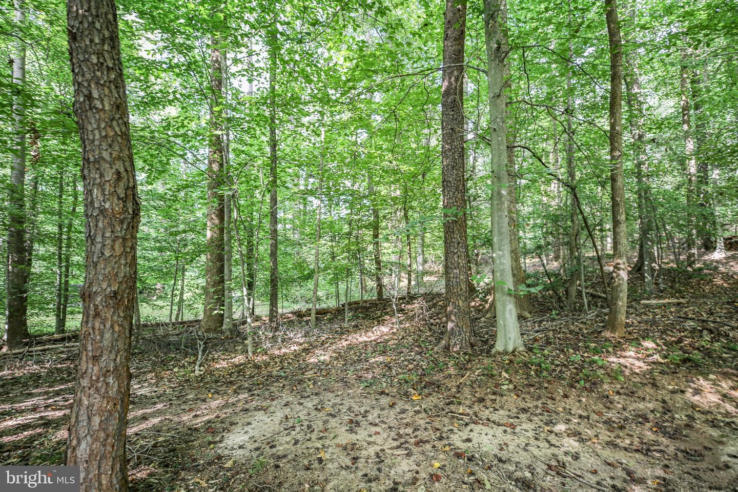 10108 Willow Ridge Lane photo 15