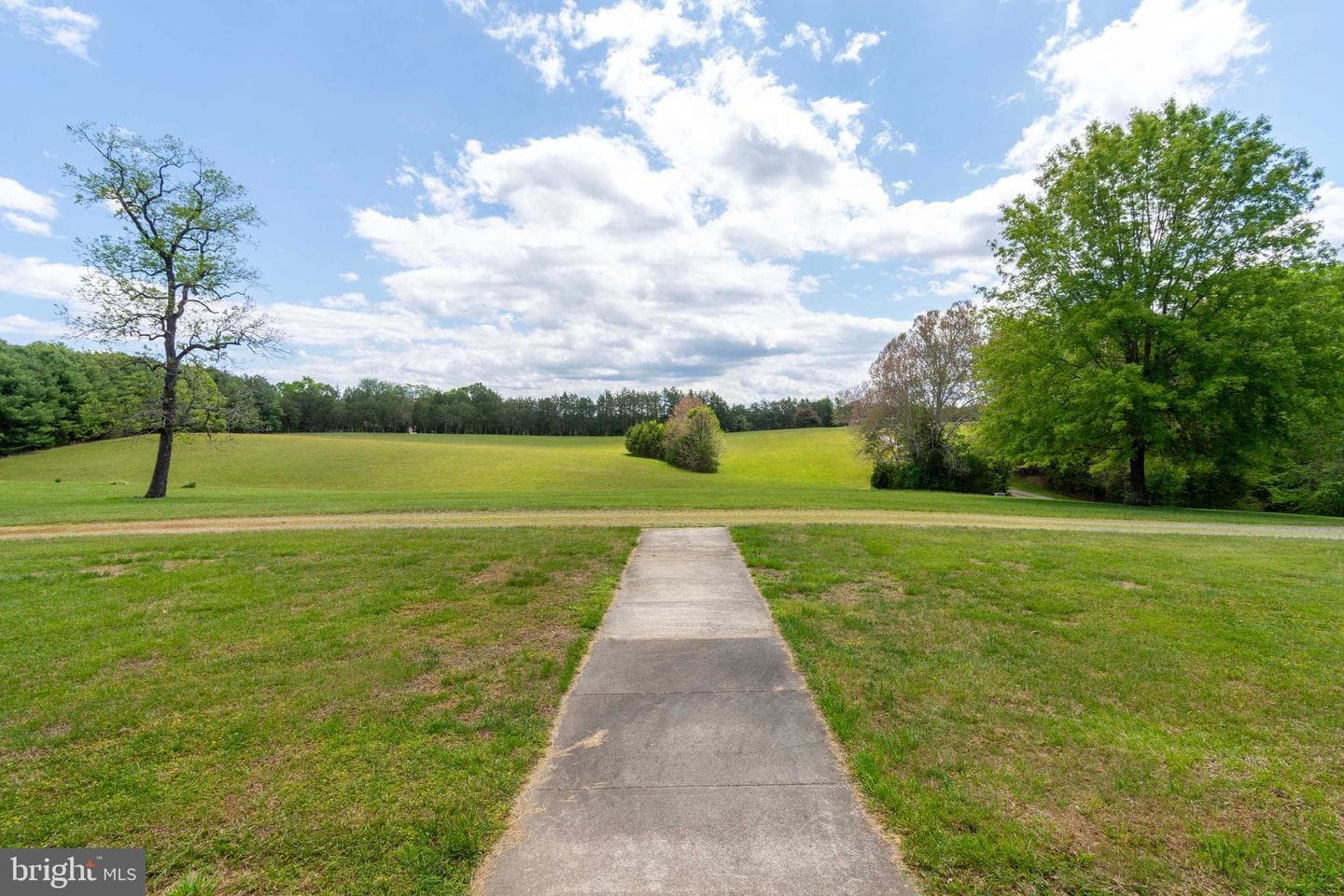 6000 Haleys Mill Road photo 15