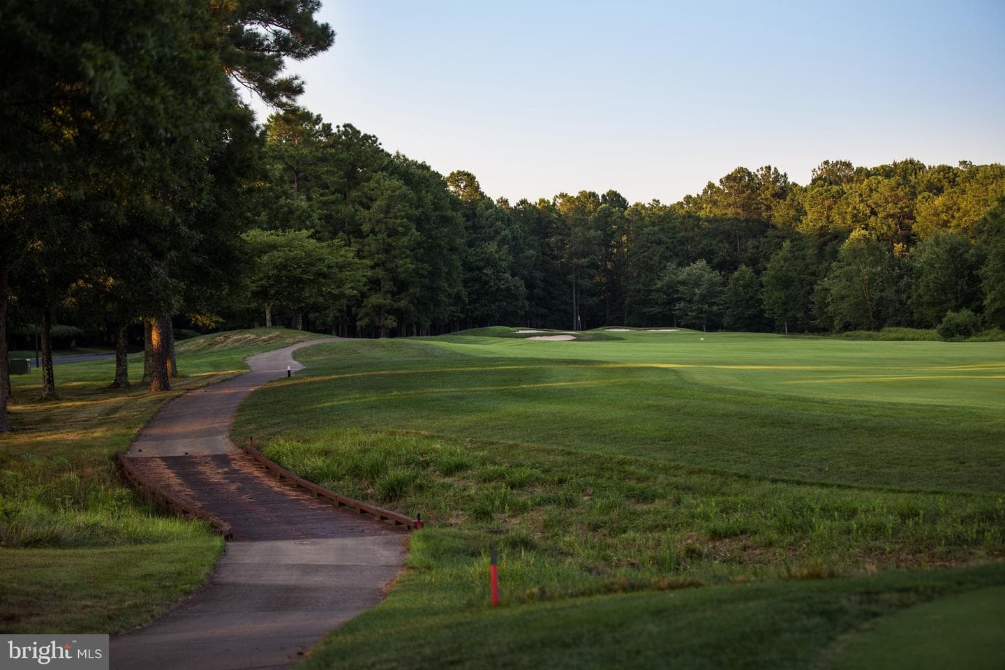 10706 Green Leaf Run photo 63