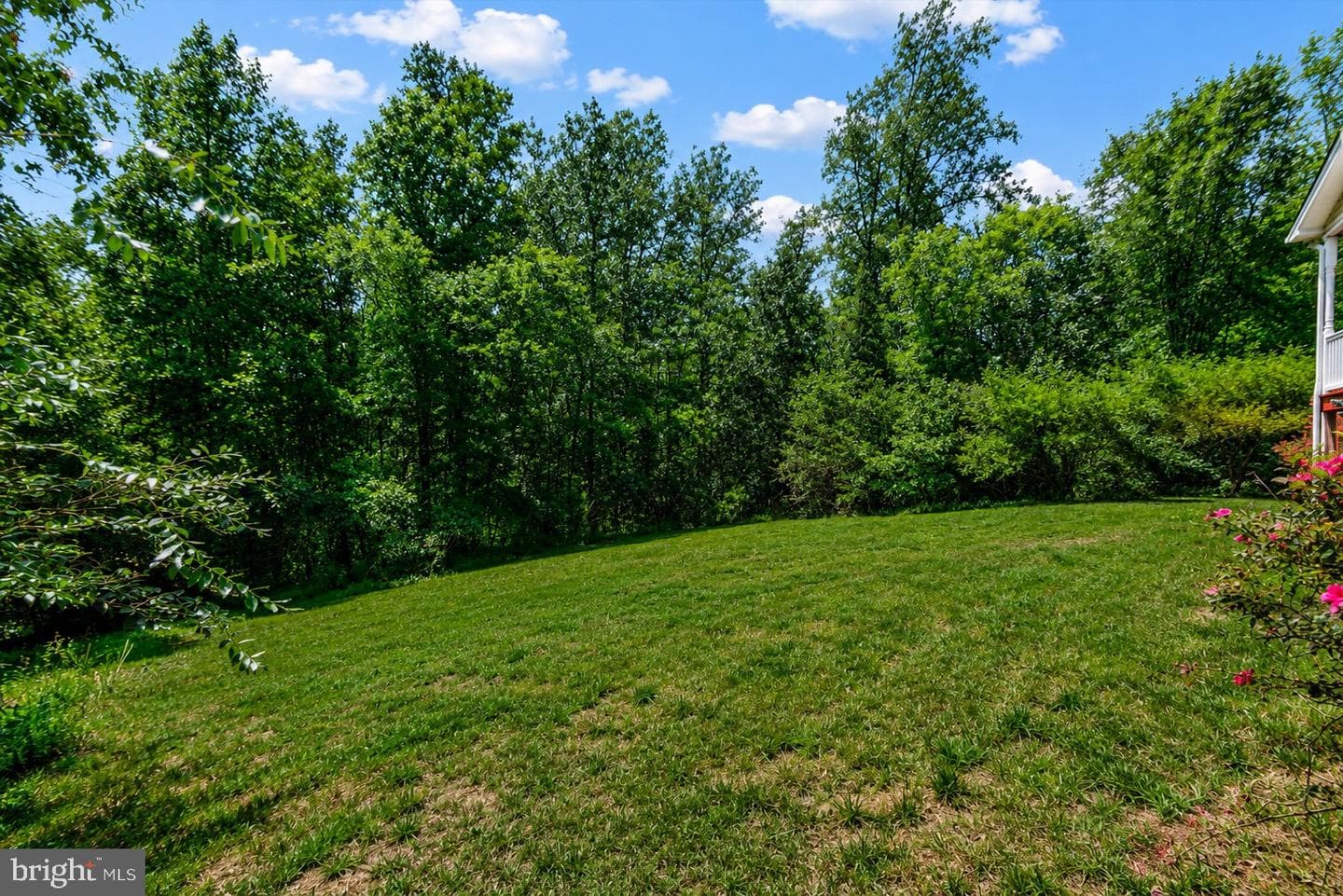 5621 Towles Mill Road photo 5