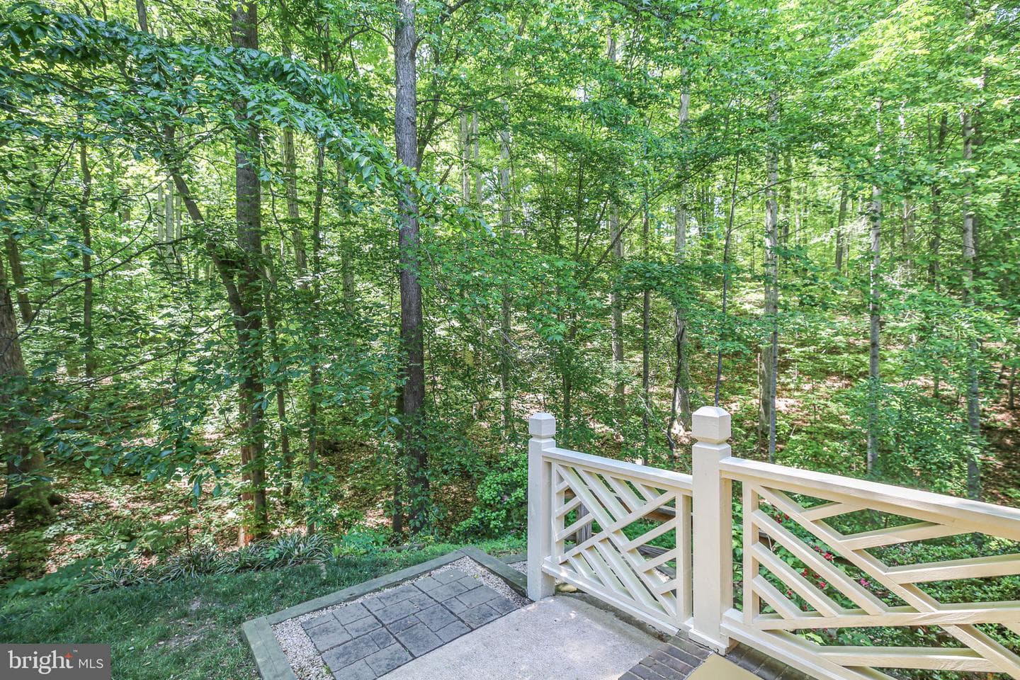 10102 Blandfield Lane photo 28