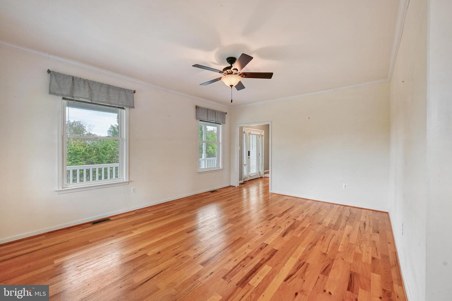 5815 Springfield Farm Lane photo 10