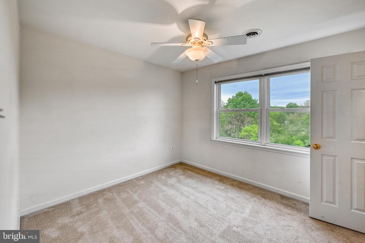 5815 Springfield Farm Lane photo 41