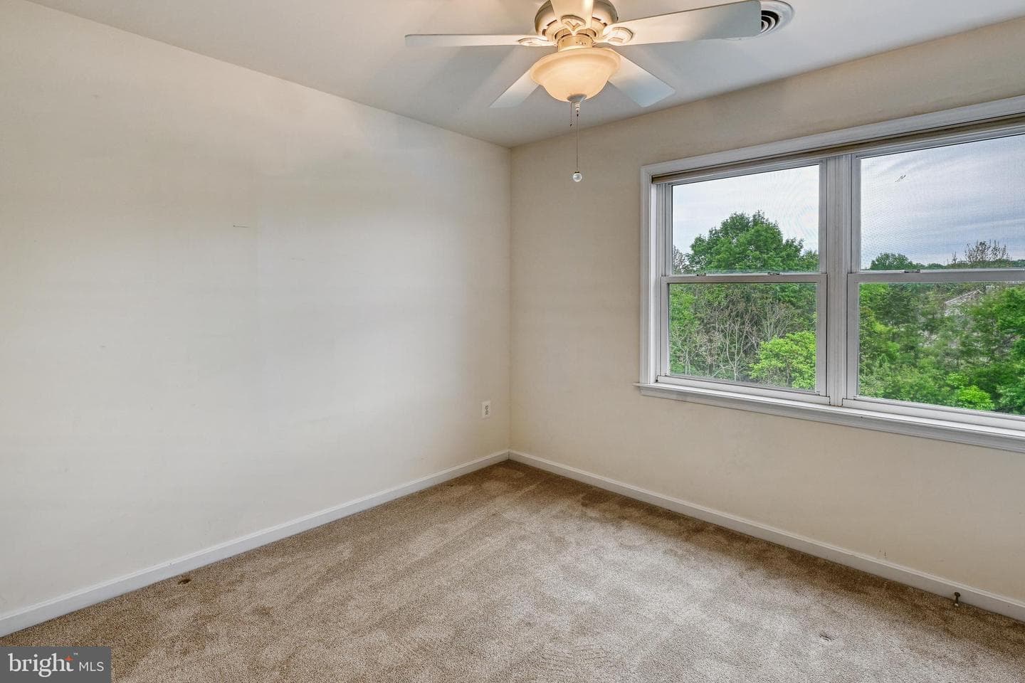 5815 Springfield Farm Lane photo 46