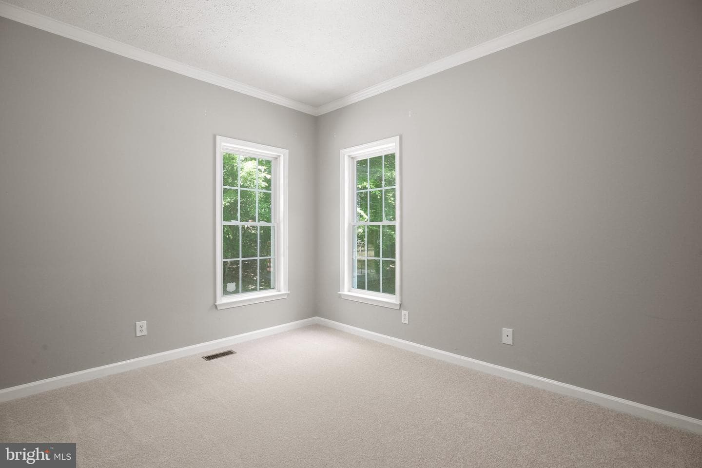9009 Snowy Egret Court photo 25