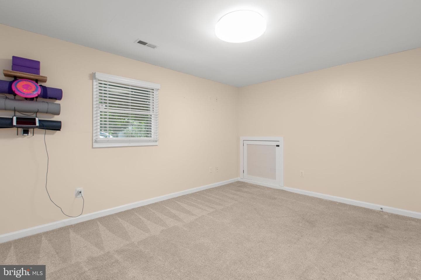 3116 Brown Hill Drive photo 26