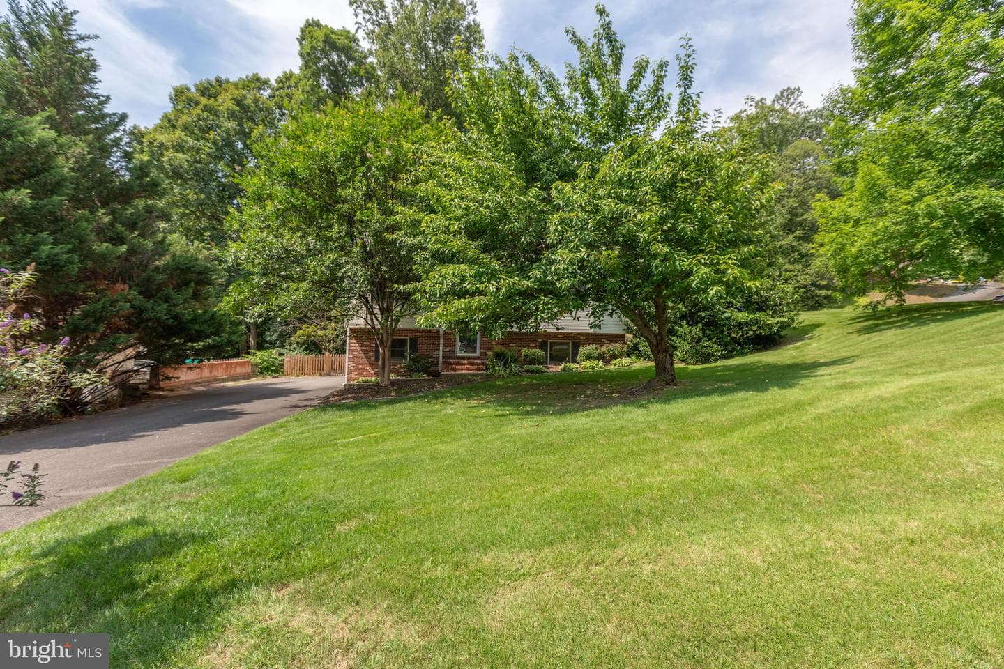 3116 Brown Hill Drive photo 3
