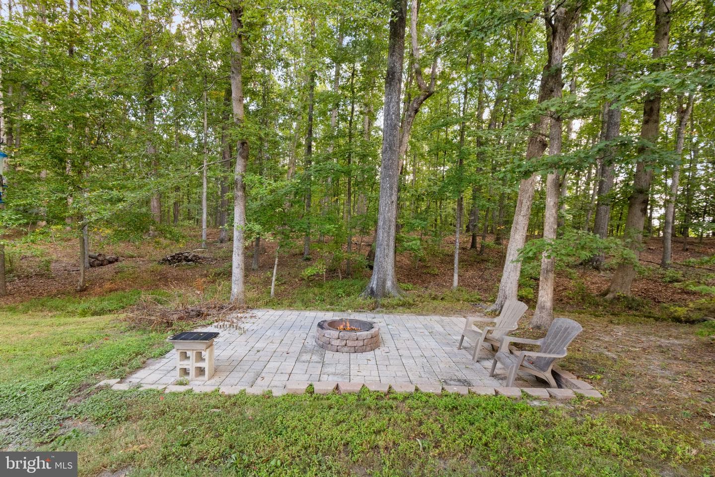 11913 Old Hickory Court photo 53