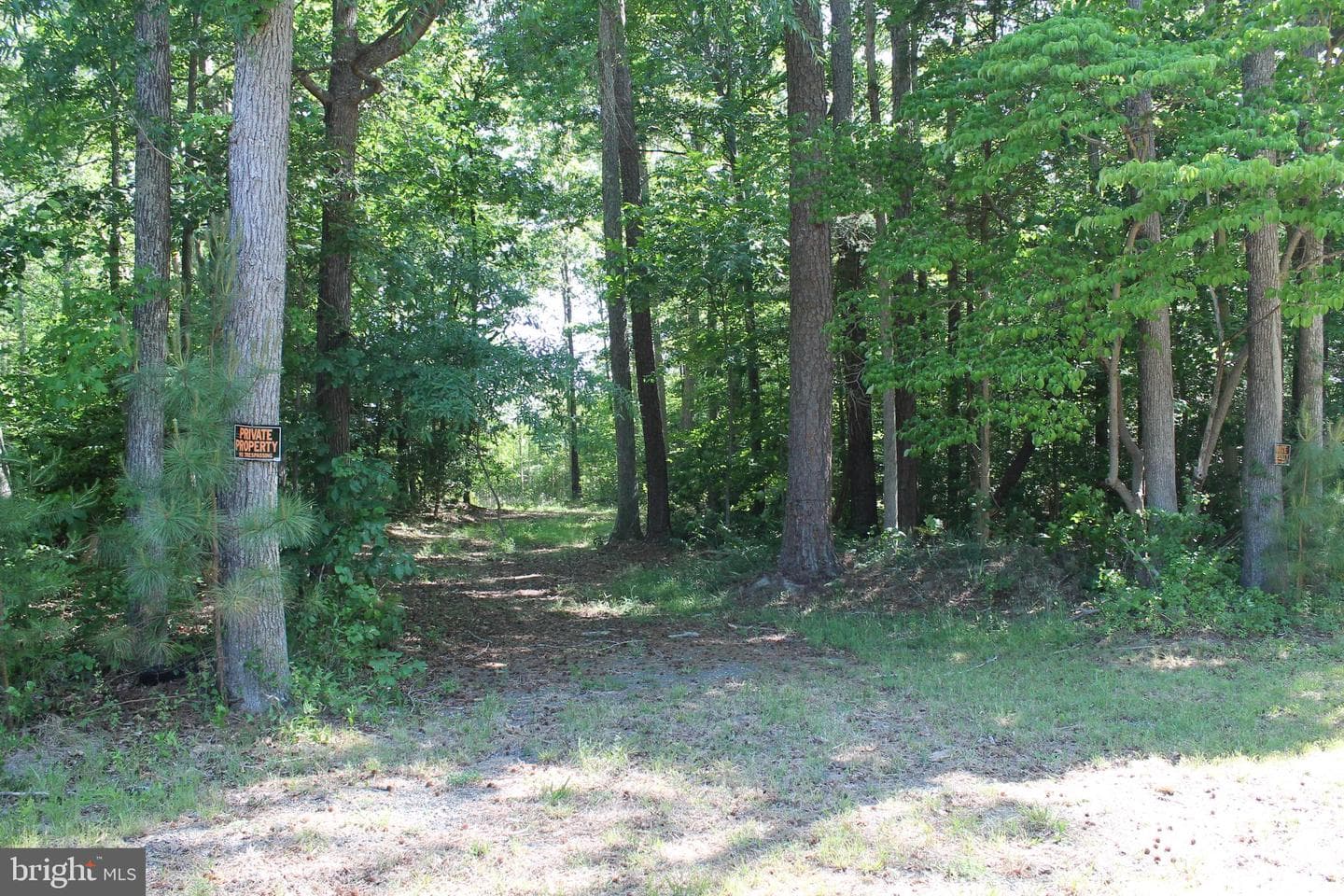 6019 And 6031 Hickory Ridge Rd photo 28