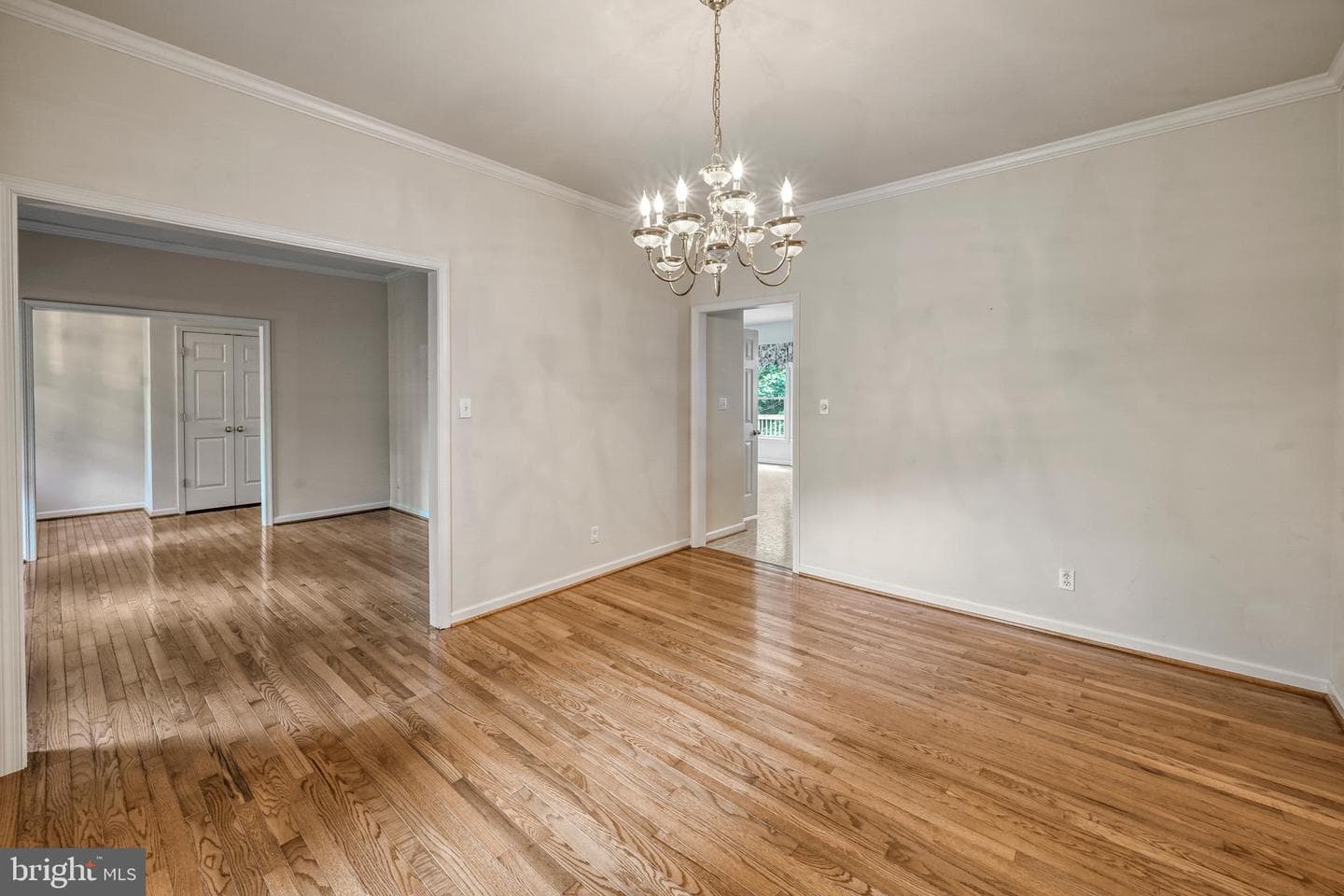 9005 Judiciary Drive photo 24