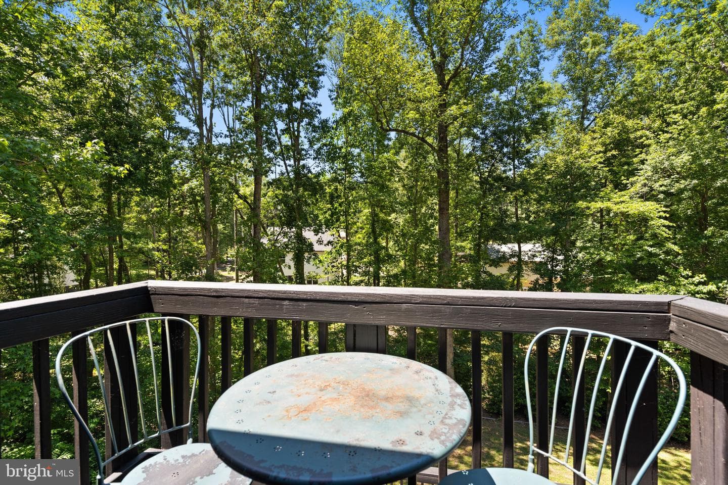 12504 Mortar Lane photo 73