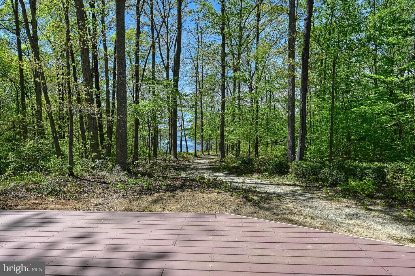 12029 Sycamore Shoals Drive photo 48