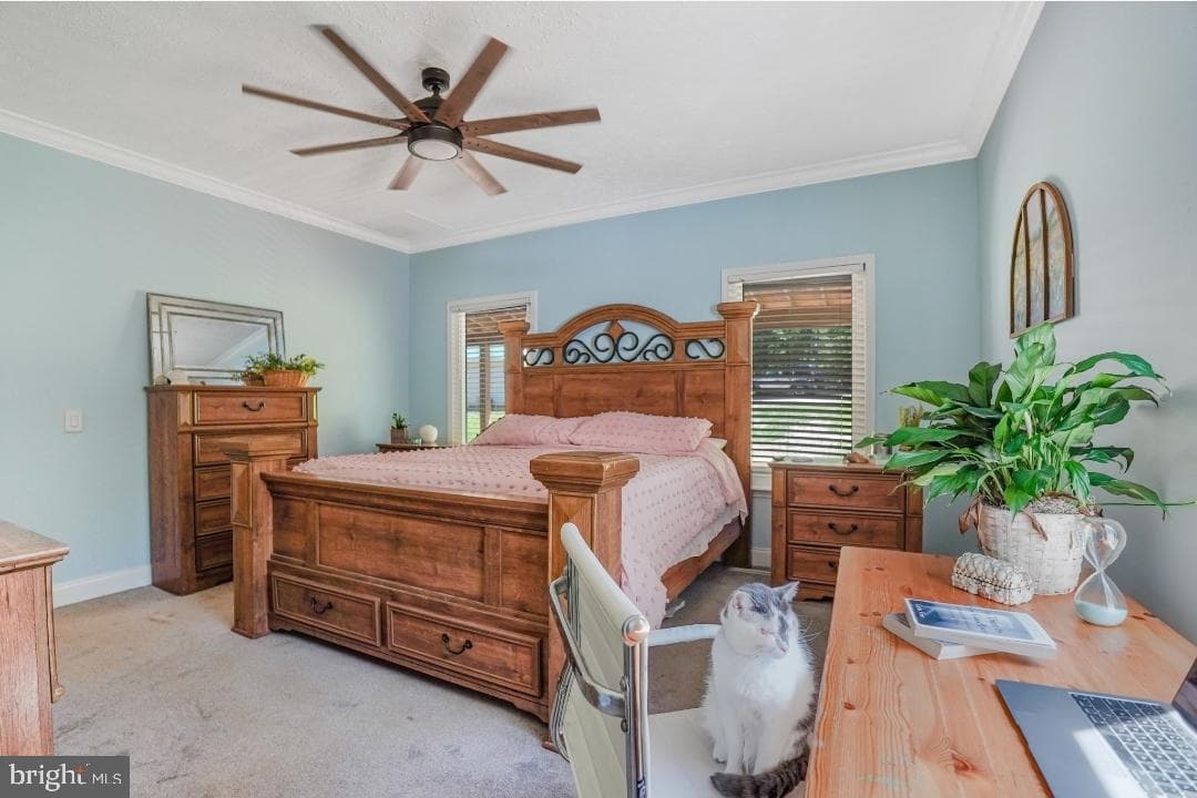 6617 Timberbrook Lane photo 21